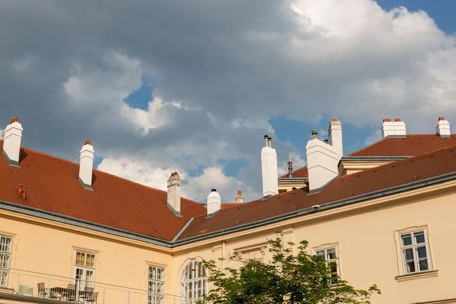 Chimney Leak Repair by Wire Neo