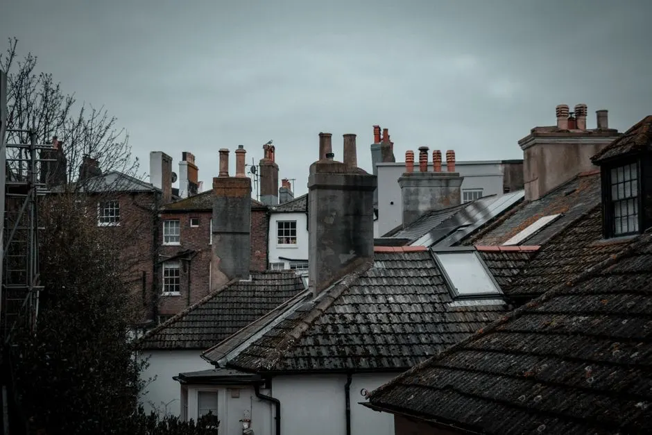 Wire Neo — Chimney repair you can rely on